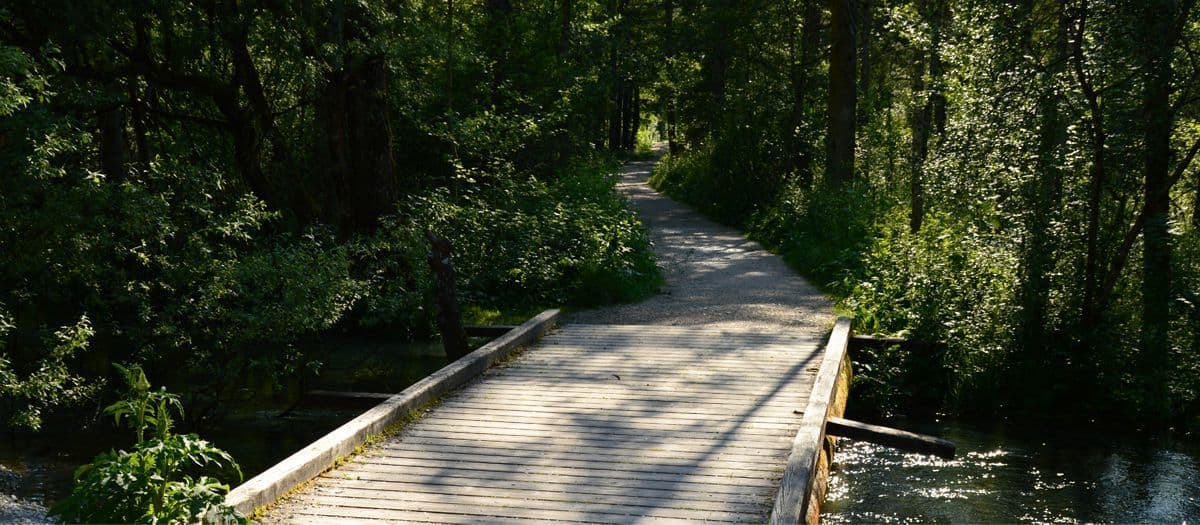 bruecke-ueber-den-fluss