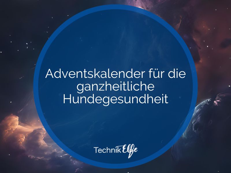 adventskalender ganzheitliche hundegesundheit